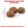 Royal Canin Sterilised 10kg + 12x85g Sucha i Mokra Karma Podgląd zdjęcia produktu 6