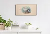 Wandbild Leinwand Bilder mit Uhr 60x30 Vögel Wild Tiere Produktbild-Vorschau 3