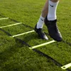Tréninkový agility žebřík 3 m, koordinační žebřík na Náhled obrázku produktu 12
