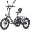 FAFREES F20 Mate Triporteur Électrique - Batterie Voir les images du produit 1