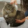 Hřeben na blechy pro kočky a psy, elektronický hřeben na Náhled obrázku produktu 4