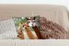 MuchoWow® Zierkissen Sofakissen Wohnzimmer Dekokissen 40x40 Produktbild-Vorschau 4