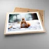 Gerahmtes Poster - Rahmen in heller Eiche - Eichhörnchen Produktbild-Vorschau 3