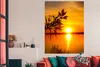 MuchoWow® Poster Sonnenuntergang - Wasser - Pflanzen - Produktbild-Vorschau 2