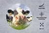 MuchoWow® Mauspad Mousepad Kühe - Gras - Wolken 30x30 cm - Produktbild-Vorschau 2