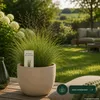 Kurzauslaufender Rotschwingel festuca rubra trichophylla Produktbild-Vorschau 6