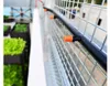 Bewässerungssystem mit Wasservorhang 20m Produktbild-Vorschau 4