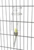 Bevanda in vetro 250 ml Anteprima dell’immagine prodotto 5