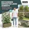 XL Spalier 'Ethica' mit Pflanzkübel Breit 80x36x140 cm - Produktbild-Vorschau 6