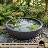BigDean XL Pflanzschale 59cm x21cm DXH ideal auch als Produktbild-Vorschau 3