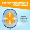 Apollo Badminton Match Pro 800 Carbon Blau/Grau Produktbild-Vorschau 3