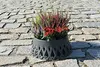 Plastia Roseta Grabschale mit Wasserspeicher, Runde Produktbild-Vorschau 8