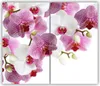 Tulup Glas-Herdabdeckplatte - 2x30x52cm - Produktbild-Vorschau 1