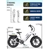Onesport 20 Zoll Elektrofahrrad Pedelec,  48V/18Ah ，250W Produktbild-Vorschau 2
