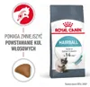 Royal Canin Intense Hairball 2 kg Produktbild-Vorschau 6
