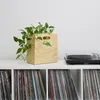 Knitterbox mit Zimmerpflanze auf Regal mit Schallplatten und Plattenspieler – modernes Interior Produktbild-Vorschau