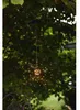 Firework Solar Produktbild-Vorschau 10