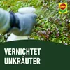 COMPO Rasenunkraut-Vernichter Banvel Quattro, Bekämpfung Produktbild-Vorschau 6