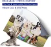 A printed image of dogs wearing bunny ears and a kitten, with Easter decorations. Produktbild-Vorschau