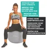 SCHILDKRÖT Gymnastikball Durchmesser: 650 mm silber Produktbild-Vorschau 8