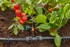 Gardena Mds Spojka 13 Mm - 46 Mm 13204-20 Náhled obrázku produktu 10