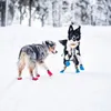 Non-stop dogwear Long Distance Booties 4er blau |132| Produktbild-Vorschau 4