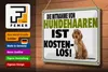 Blechschild Spruch 30x20cm Mitnahme Hundehaaren Produktbild-Vorschau 3