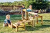 Plum Discovery Forest Wasserlauf Náhled obrázku produktu 6