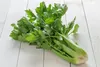 SAFLAX Garden to go - BIO - Celer - Vysoký Utah - Apium Náhled obrázku produktu 7