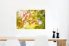 MuchoWow® Poster Japanischer Ahorn zu Beginn des Herbstes Produktbild-Vorschau 5