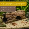 Aquarium Deko Höhle Baumstamm XL Terrarium Deko Aquarium Produktbild-Vorschau 6