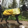 Ruffwear 05303, Pes, Pláštenka, M, Žltá, Nylon, Náhľad obrázku produktu 4