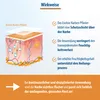An illustration showing how a scar plaster works on the skin, with accompanying text explaining its benefits. Náhled obrázku produktu
