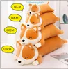 Corgi Dog Big Giant Squishmallow Plüschtier Kuscheltier Produktbild-Vorschau 2