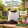 Samenshop24® 20L Anzuchterde, Pikiererde, Aussaaterde, Produktbild-Vorschau 7
