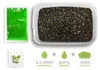 DELPHIN Reaxe READY&GO, aromatisierte Pellets, Produktbild-Vorschau 3