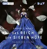 Das Reich der sieben Höfe - Teil 5: Silbernes Feuer Produktbild-Vorschau 1