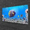 Acrylglasbilder 100x50 Wandbild Druck Fische Natur Produktbild-Vorschau 2