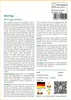 SAFLAX - Moringa - Moringa oleifera - 10 Samen - Mit Produktbild-Vorschau 3