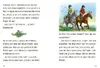 Silberwind, das weiße Einhorn (Band 9) - Eine zauberhafte Produktbild-Vorschau 5
