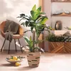 Kunstpflanze "Yucca" künstliche Palme, 105 cm groß, wie Produktbild-Vorschau 2
