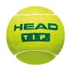 HEAD 3B TIP 6DZ Tennisbälle 3er Dose grün Produktbild-Vorschau 1
