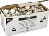 380 Papstar Teelichte Ø 38 mm, 14 mm weiss 13804 Produktbild-Vorschau 3