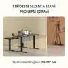 A modern office setup with two adjustable height desks and a decorative sculpture. Náhled obrázku produktu