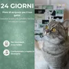 BOXILAND® calendario avvento gatto 2026, 24 snack gatto, Anteprima dell’immagine prodotto 2