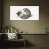 Coloray Bild aus Acryl 100 cm x 50 cm - Küche Produktbild-Vorschau 3