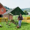 A man is holding a chicken and a bowl of feed in front of a large chicken coop with ducks inside. Anteprima dell’immagine prodotto