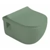 A green matte wall-mounted toilet. Anteprima dell’immagine prodotto