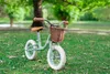 Bicicletta da fondo Huffy verde da 10" vintage con cestino Anteprima dell’immagine prodotto 12