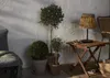 Solar-Tischleuchte Cesta Wasserhyazinthe Dämmerung 48cm Produktbild-Vorschau 13